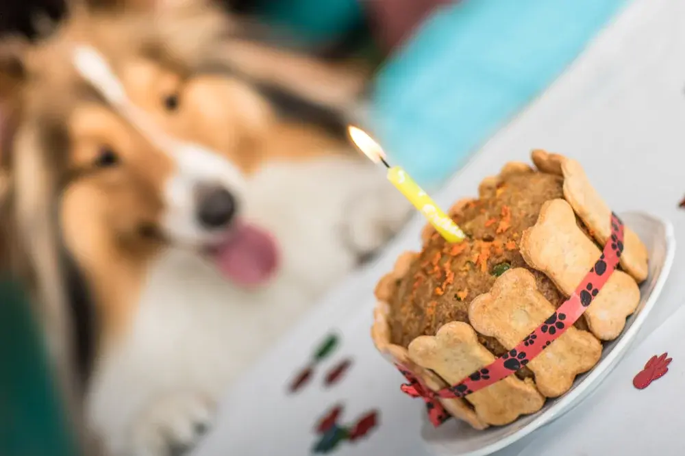 Pasteles de cumpleaños