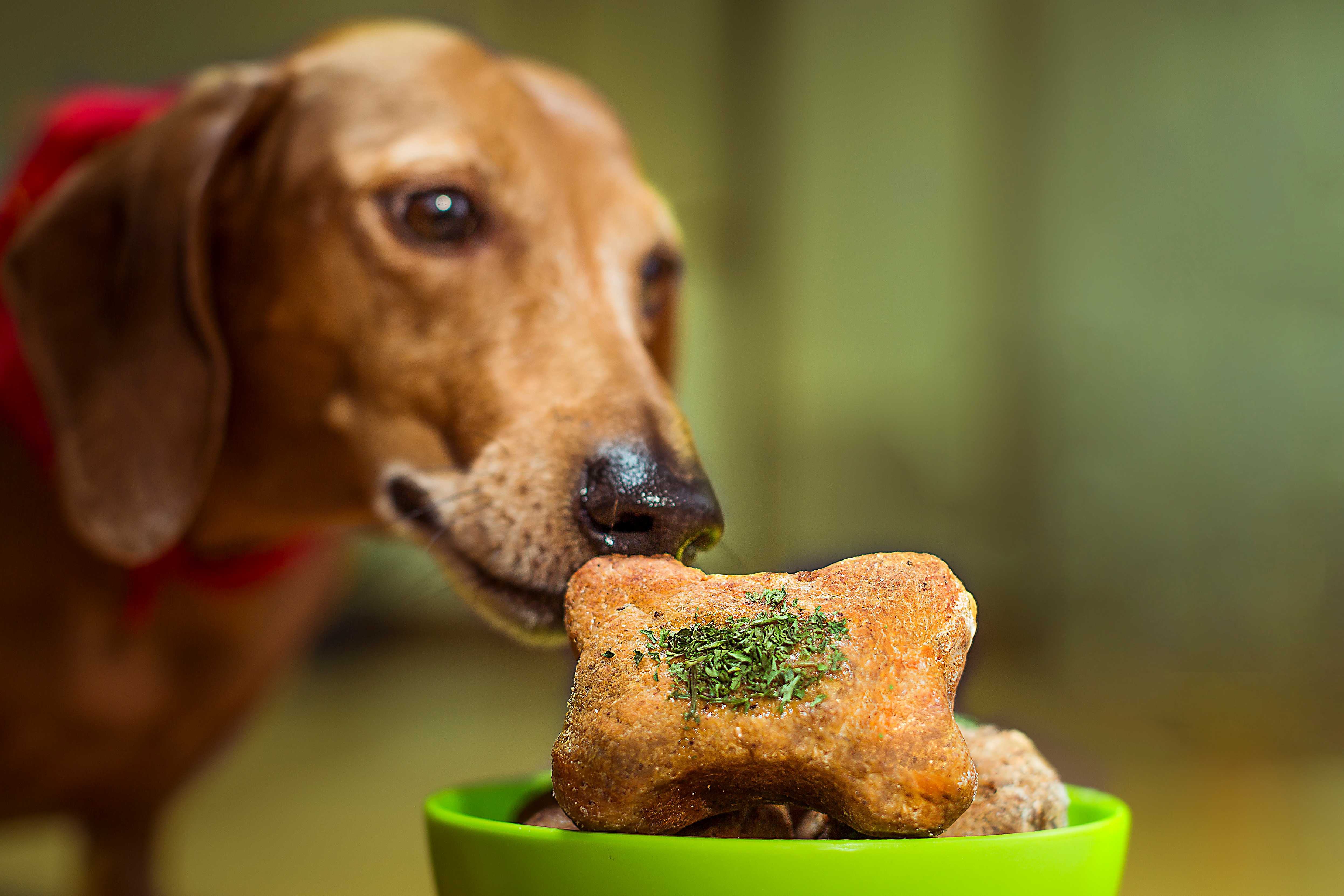 La transición a una alimentación natural: guía paso a paso